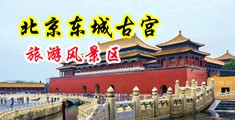 黑丝被操哭了中国北京-东城古宫旅游风景区